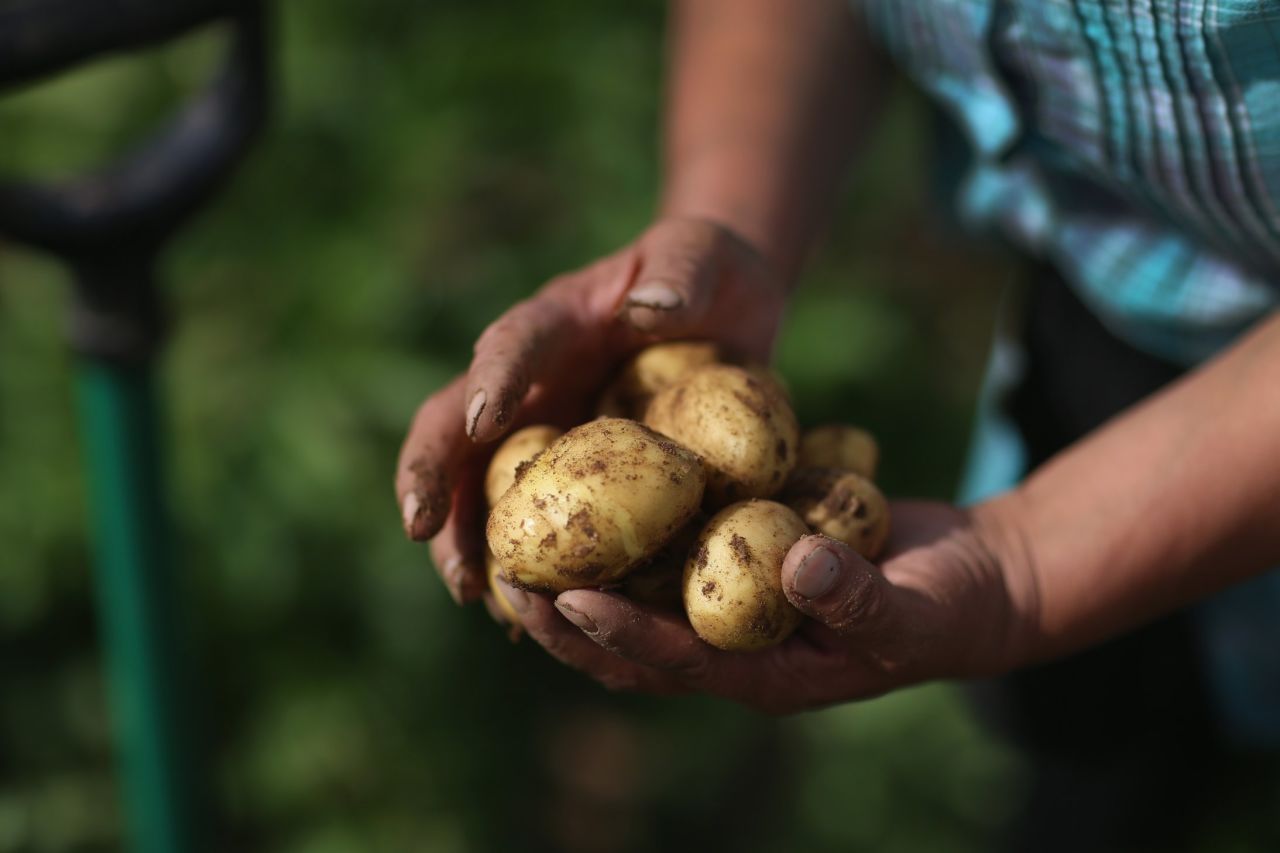 Potatoes made the way from 11th to 12th on the list this year. 