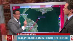 Newday MH370 report preliminary findings_00003911.jpg
