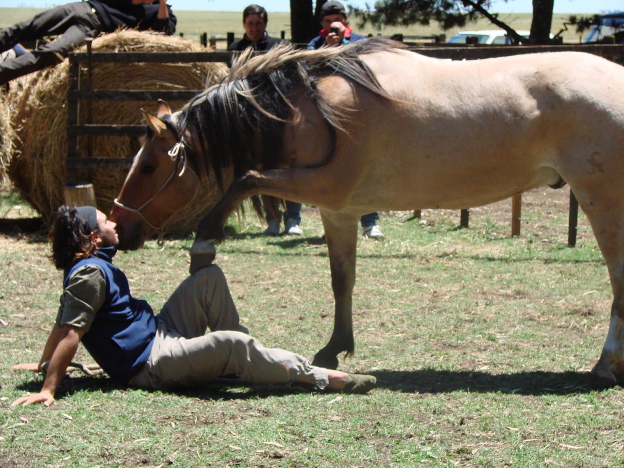 Scarpati, pictured here playing with a horse at the school, grew up in San Luis -- a mountain town at the base of the Sierras de Cordoba range.