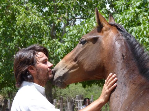 He says horses and people all experience similar emotions, such as empathy, affection, respect and solidarity.
