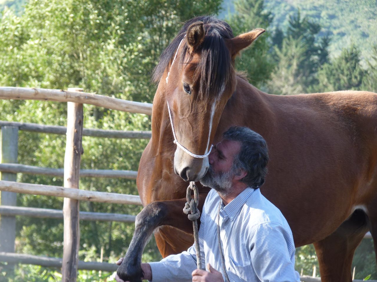 The Scarpatis' aim is to connect with horses "on their frequency in the frequency of nature."