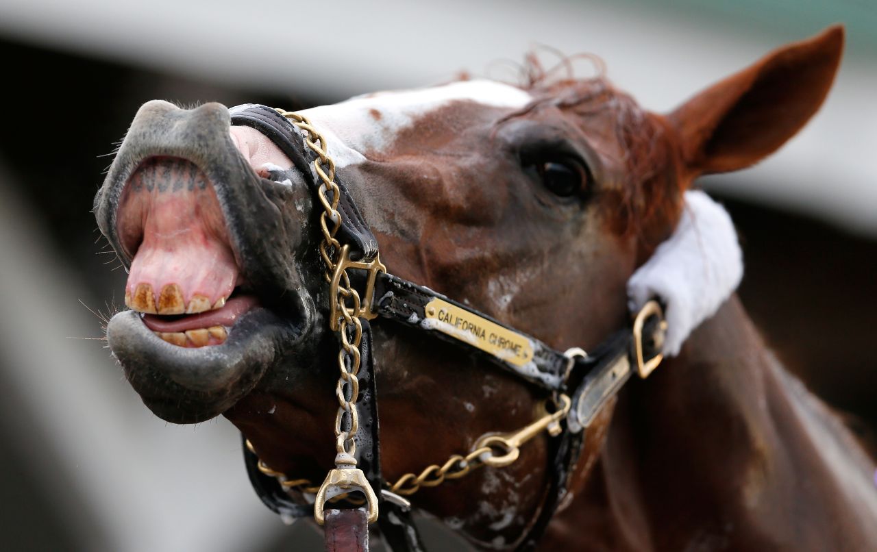 Kentucky Derby Favorite California Chrome is racing on a rock star's