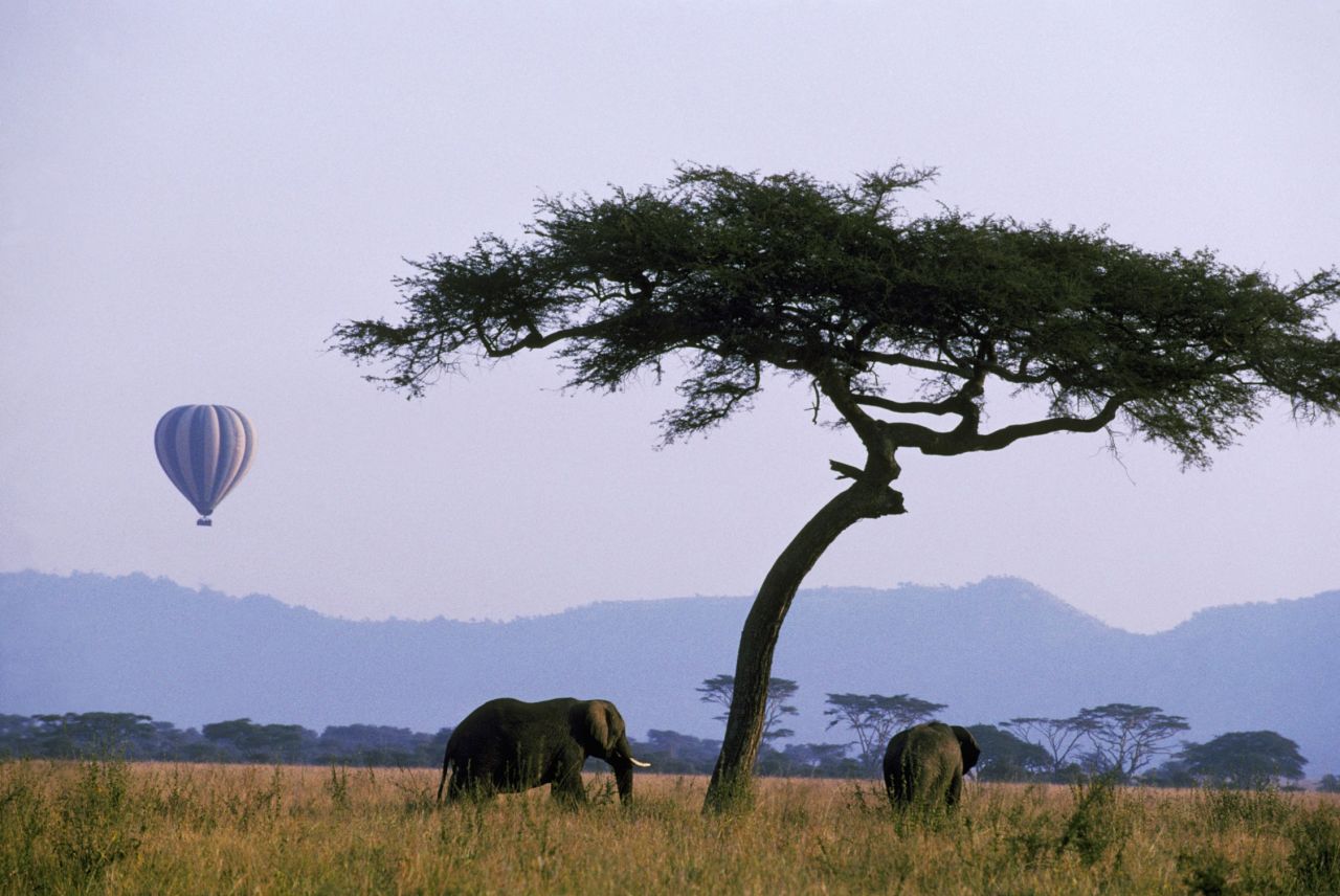 Enjoy a safe, aerial view of elephants, lions and other animals during a hot air balloon tour in the Serengeti, Tanzania.