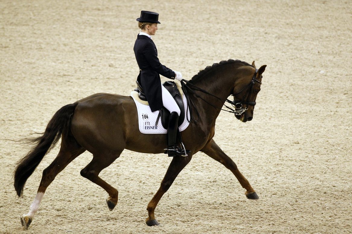 <strong>DRESSAGE</strong>: A discipline where horse and rider perform at a walk, trot and canter delivering a routine from memory, it is considered the highest expression of horse training. It is also the only time in the world you will see a horse dancing to classical music. Not to be missed.