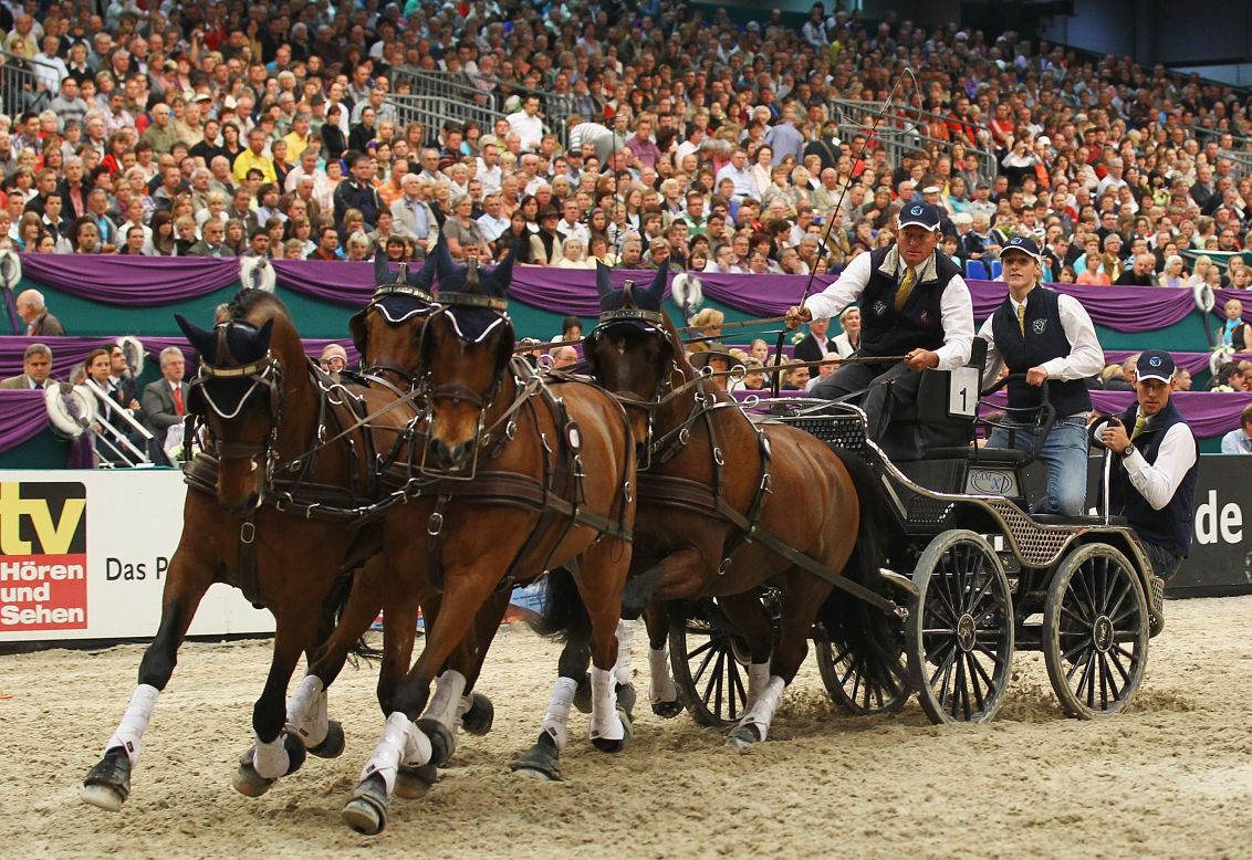 <strong>DRIVING</strong>: Riders sit on a vehicle drawn by a single horse, a pair, or a team of four, which face three trials -- dressage, marathon and obstacle driving. Given that horses were driven long before they were ridden, they've had many years of practice for this event.