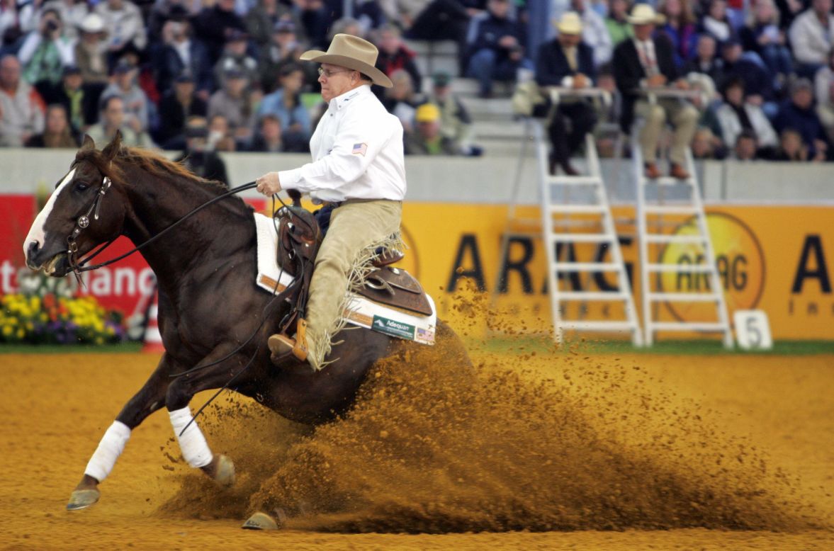 <strong>REINING</strong>: Originating from the moves that a cattle horse makes while performing its duties, reigning involves horses running approved patterns, divided into different maneuvers. The discipline is closely linked to the spirit of the Wild West and so sporting your cowboy hat and spurs are a must.
