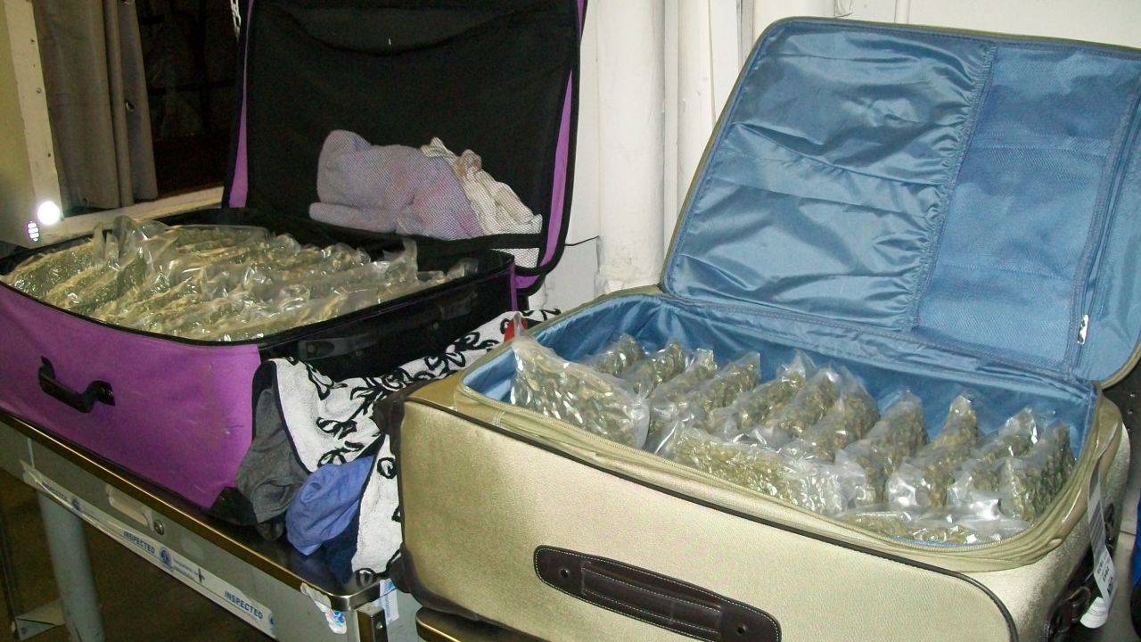 A female passenger tried to travel on Friday with three checked bags filled with marijuana. 