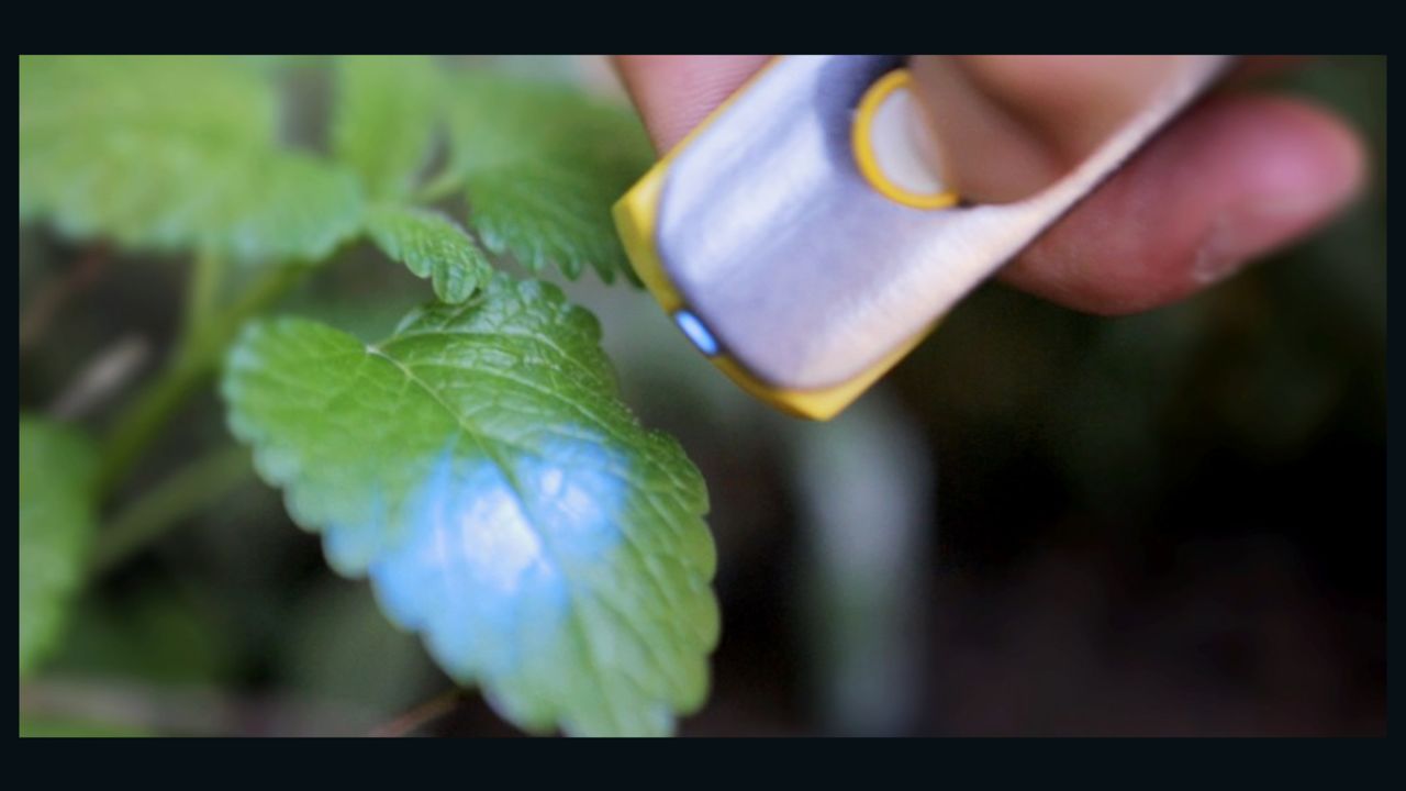 SCiO is a pocket molecular sensor that allows users to check the nutritional value of food