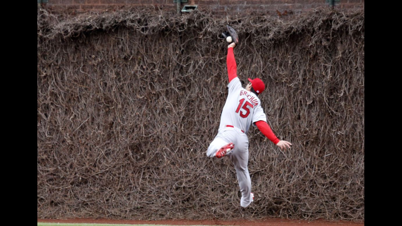St. Louis Cardinals outfielder Randal Grichuk is unable to catch a deep fly ball during a Major League Baseball game at Chicago's Wrigley Field on Friday, May 2. The Cubs won the game 6-5.
