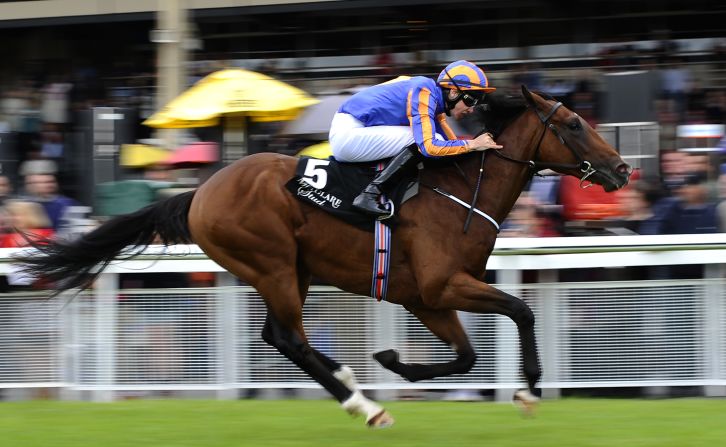 Great White Eagle, seen here at the Go And Go Round Tower Stakes at Curragh racecourse in Kildare, Ireland, was also snapped up at the Craven Sale.