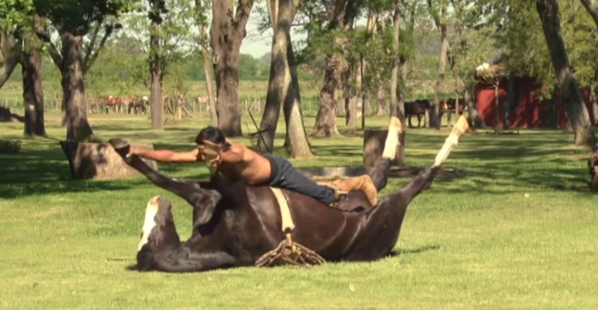 According to co-founder of the school, Cristobal Scarpati, the practice is not equine yoga but a series of skills and philosophies passed down by the local indigenous population.