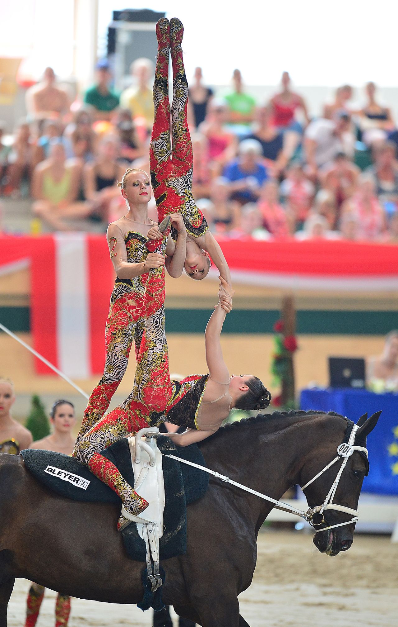 Germany has long been the world's leading vaulting nation. In 2013 the Germans won the European team event, which involves six vaulters, up to three of whom may touch the horse at any moment.