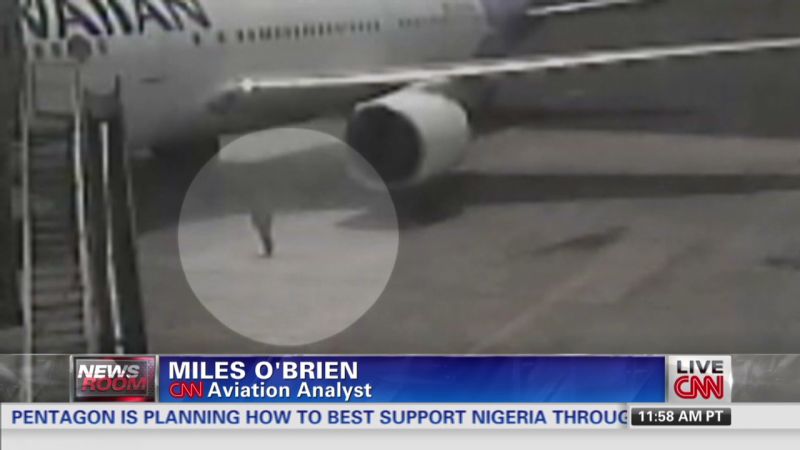 Watch stowaway exit wheel well of plane