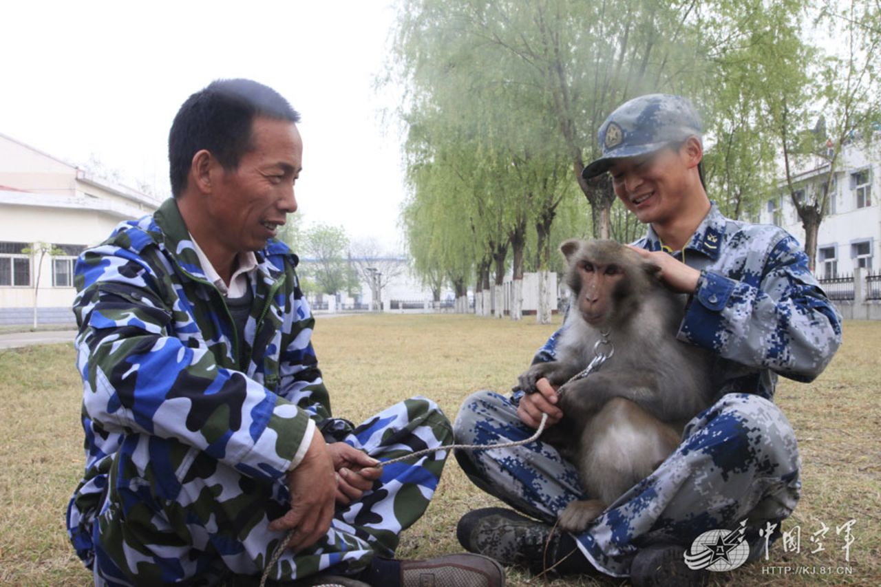 "The monkeys are loyal bodyguards who defend the safety of our comrades."
