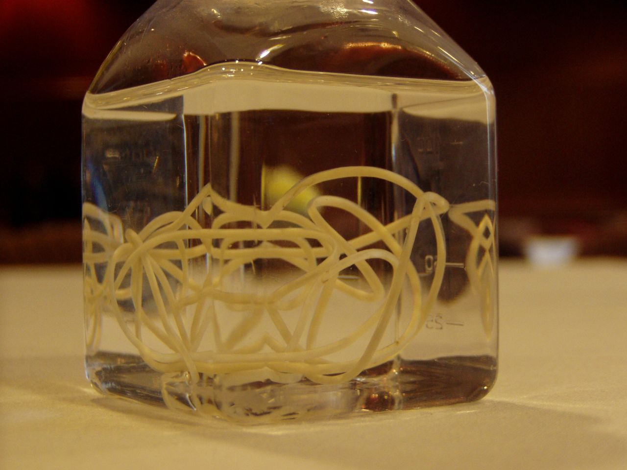 A Guinea worm preserved in alcohol. Adult female worms can grow up to 3 feet long.