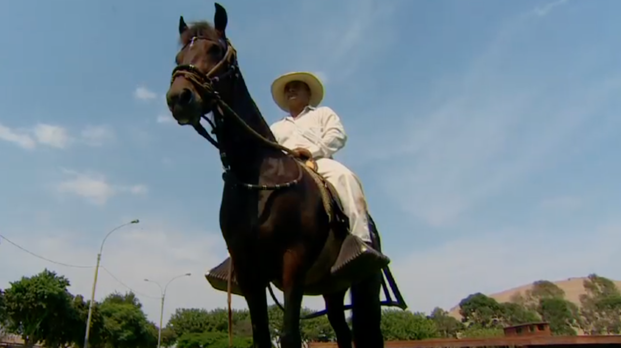 CNNE cnnee ag caballo de paso