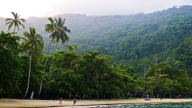 Ilha Grande is a great place to see Brazil's Atlantic Forest (Mata Atlantica), a World Biosphere Reserve that's home to many endangered species. 