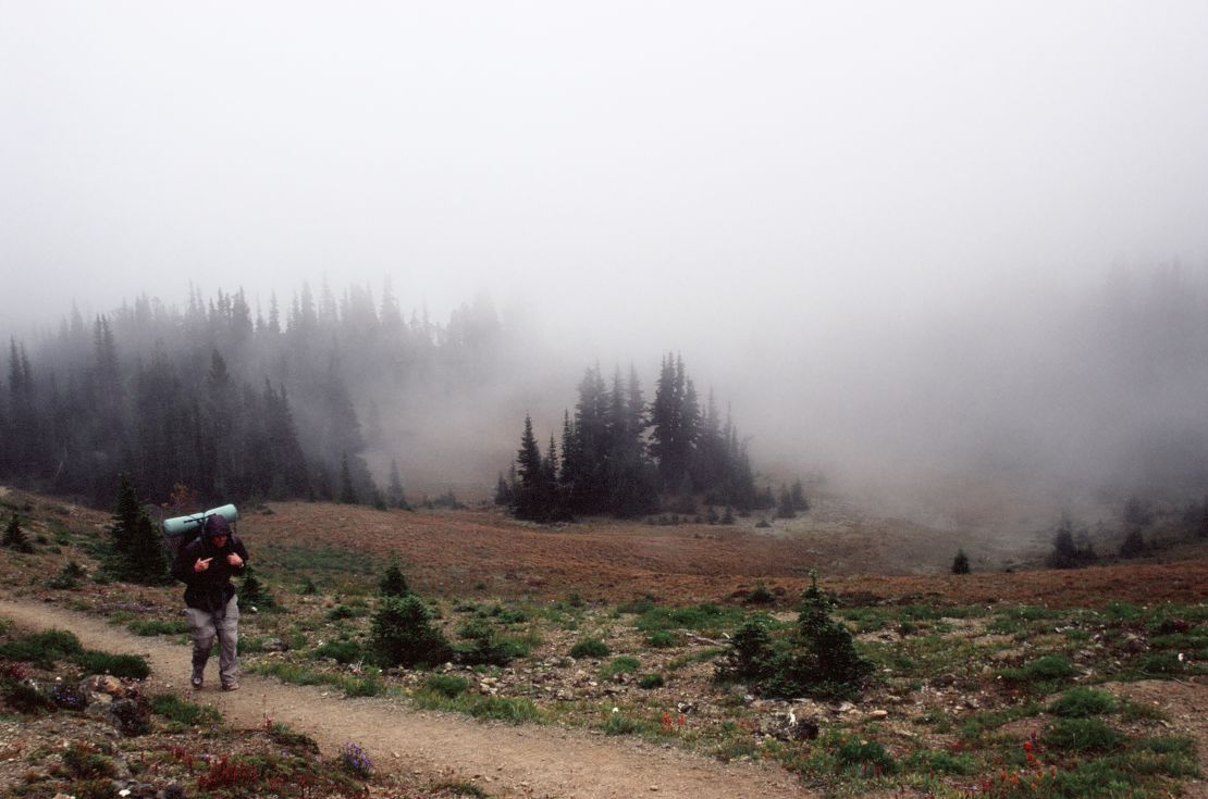 Olympic Peninsula Buckhorn Wilderness 