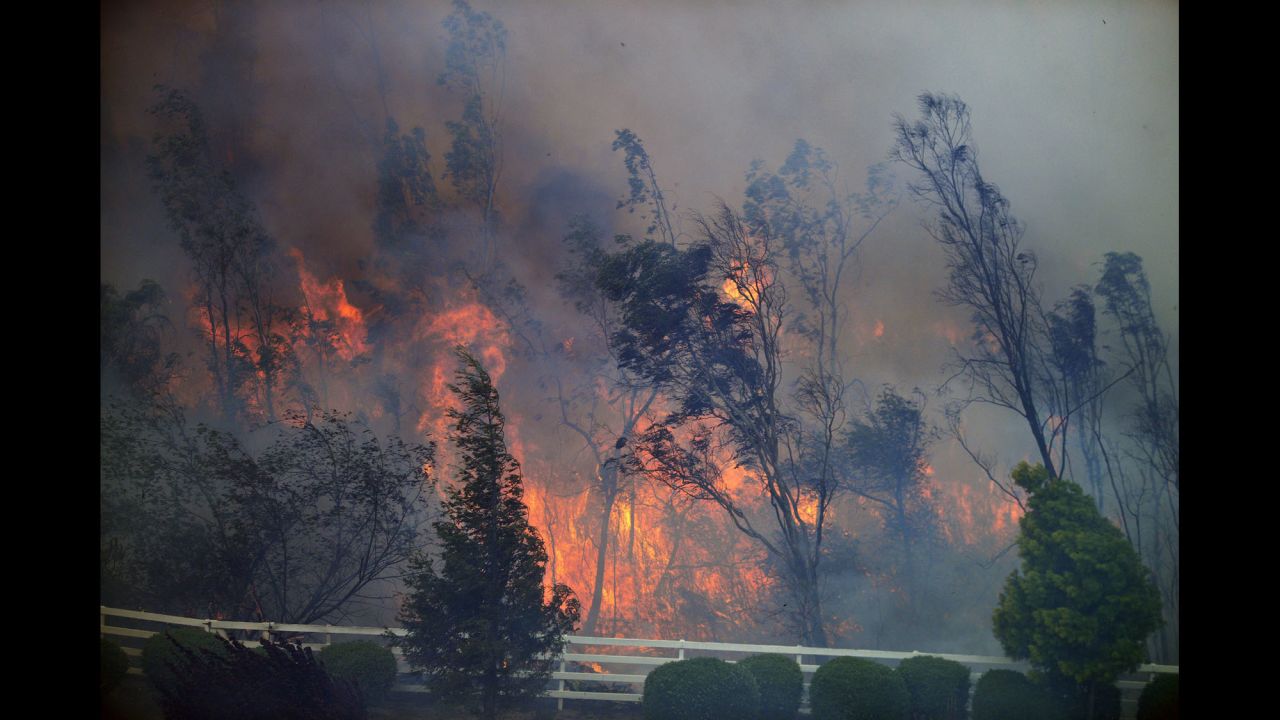 Trees burn on May 13 as a San Diego wildfire moves through a canyon between Rancho Santa Fe and the Fairbanks Ranch area.