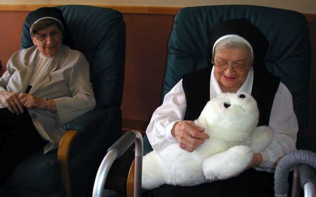 Paro is a robot seal pup developed by Japanese company AIST to lift the spirits of elderly people. It responds to being stroked and to hearing its own name. 