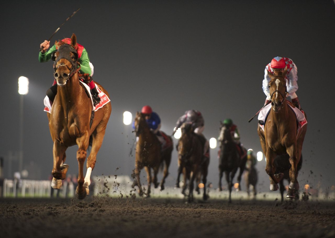Animal Kingdom (left) wins the 2013 Dubai World Cup, the world's richest horse race. 