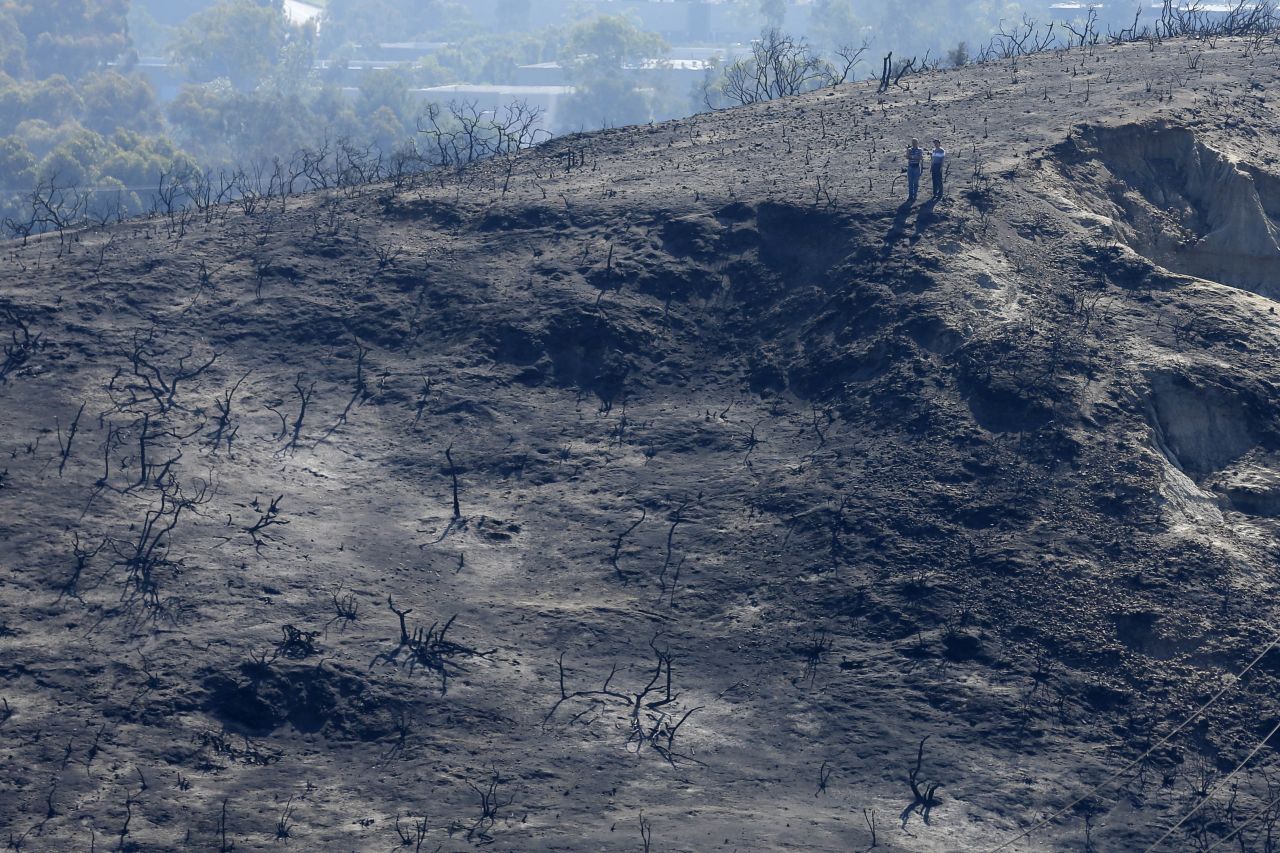 People look over a canyon ravaged by fire in Carlsbad, California. 