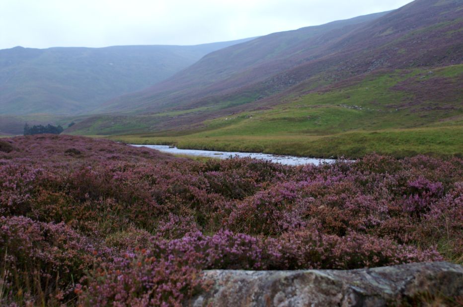 <a href="http://cairngorms.co.uk/" target="_blank" target="_blank">Cairngorms National Park</a> is the largest park in the British Isles. <a href="http://ireport.cnn.com/docs/DOC-1129437">Kimberli Ann Yount Goodner</a> says you can hike through the whole park. She says one thing to keep an eye out for is a large stone on the side of a hill that reads, "Take a moment to behold, as still skies or storms unfold, in sun rain sleet or snow, warm your soul before you go."  