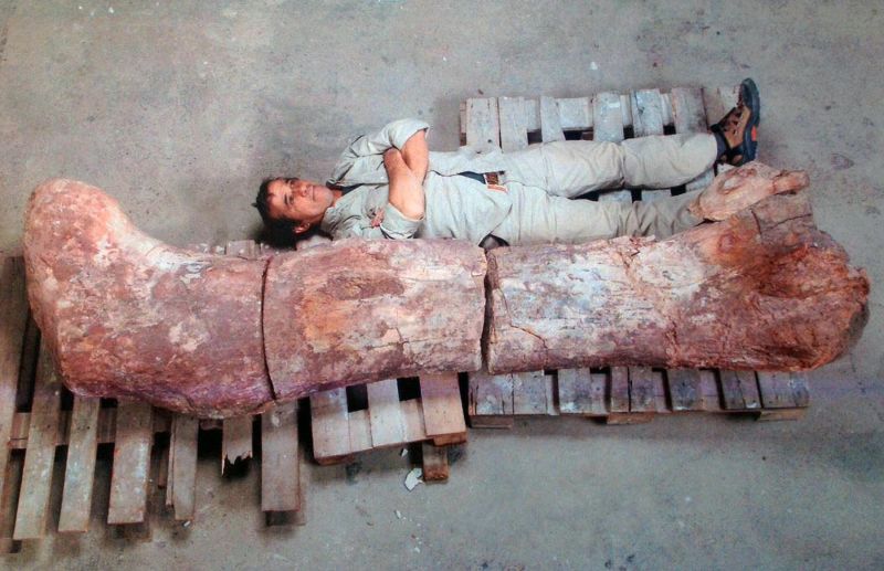 Museum builds dinosaur in 30 seconds | CNN