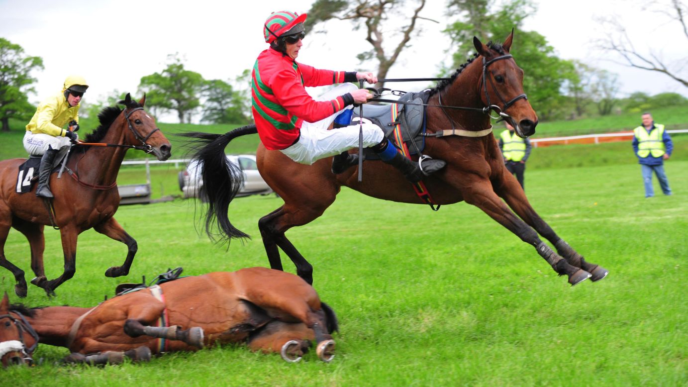 Mark Foley falls off his horse Saturday, May 17, at a race in Irvinestown, Northern Ireland. There were no injuries.