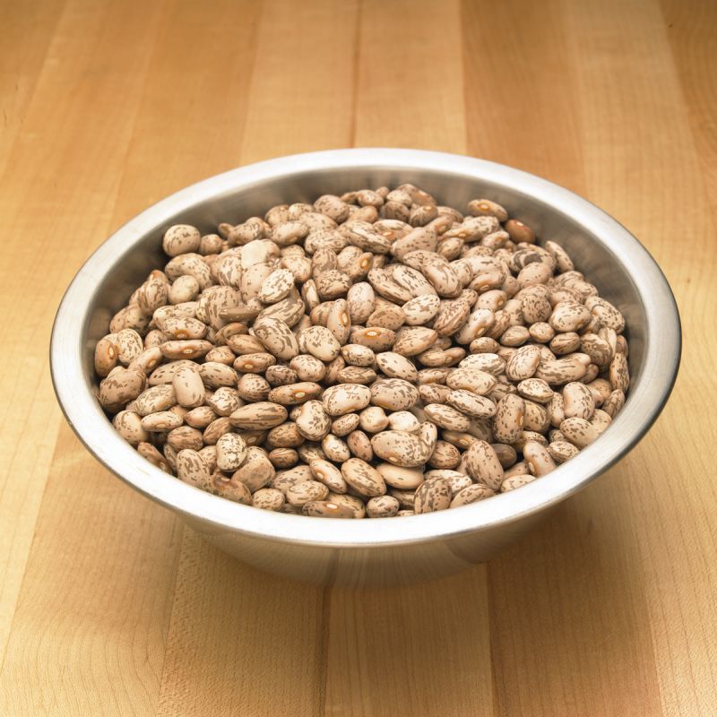 Why Does My Dogs Gas Smell Like Sulfur