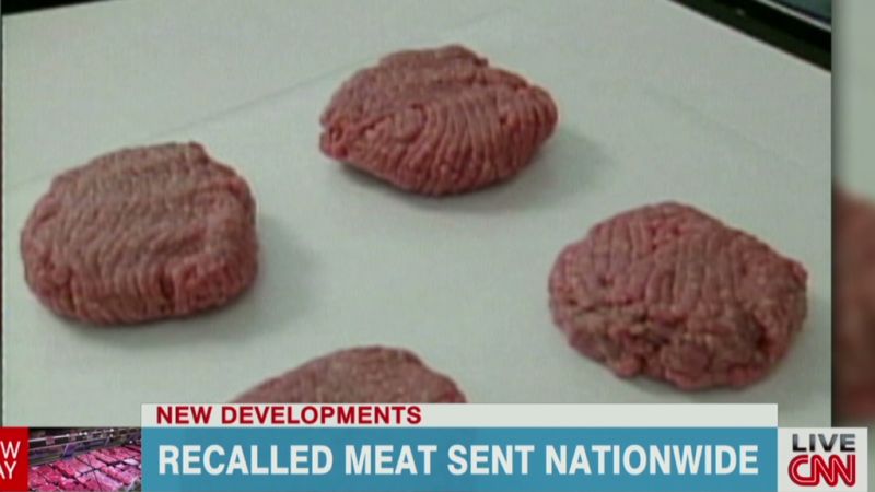 A discussion on alternative meat: Why beef over “fake” meat?