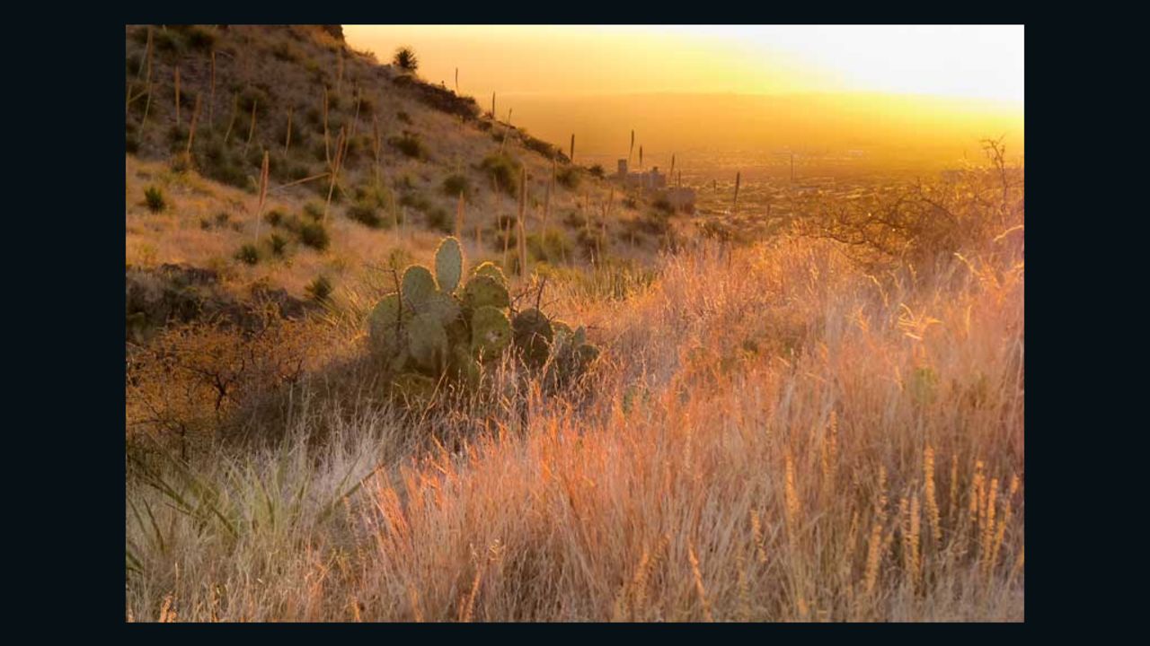 The Organ Mountain-Desert Peaks National Monument is near Las Cruces, New Mexico.