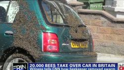 erin intv edwards keilar bees take over car britain_00001705.jpg
