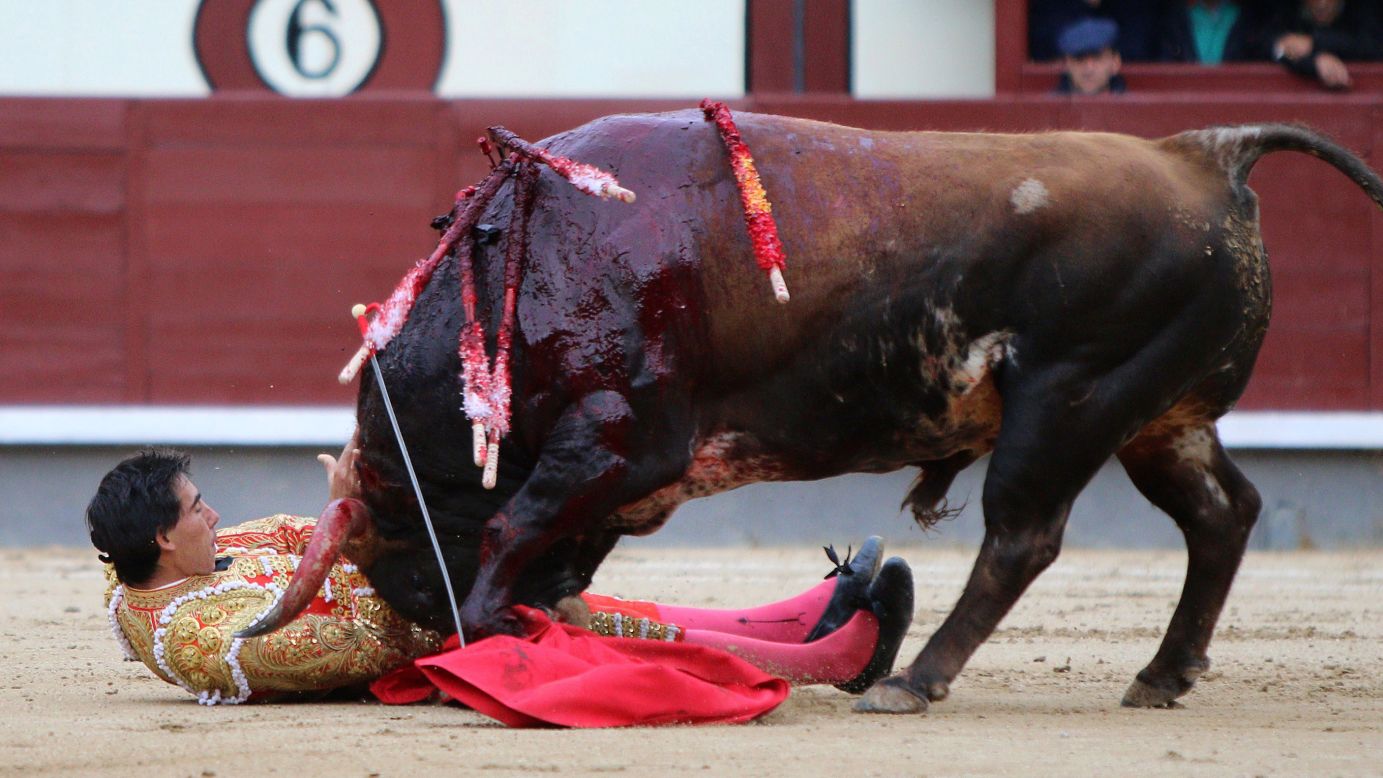 Jimenez faces the bull, which he killed before being taken to the infirmary.