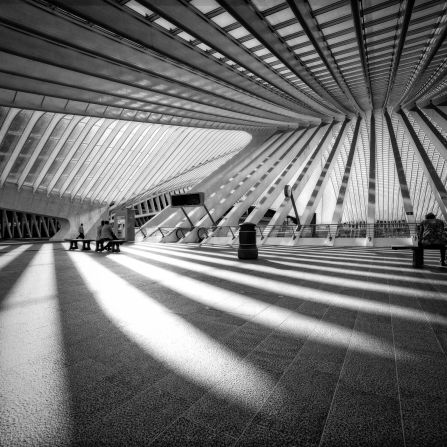 The ultra-modern steel and glass Liege-Guillemins railway station in Liege, Belgium, was designed by Spanish architect Santiago Calatrava and opened in 2008. This photo was shot by <a href="index.php?page=&url=http%3A%2F%2Finstagram.com%2Felephantguncollective" target="_blank" target="_blank">Andrea Schuh</a>, a photographer in Cologne, Germany. 