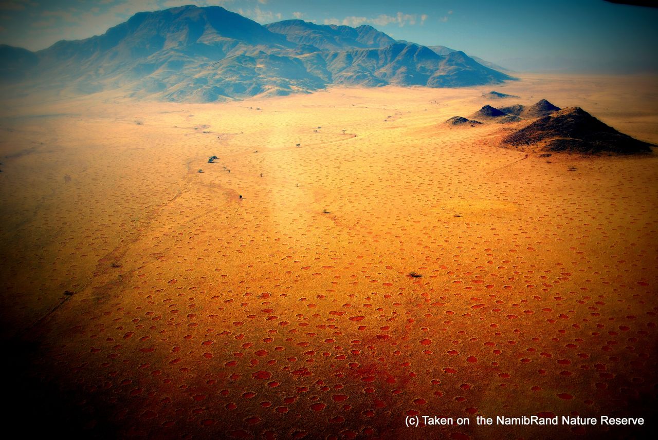 Strange barren dots -- rimmed with tall grasses -- sprinkle a 1,100-mile stretch of Namibia's desert. 