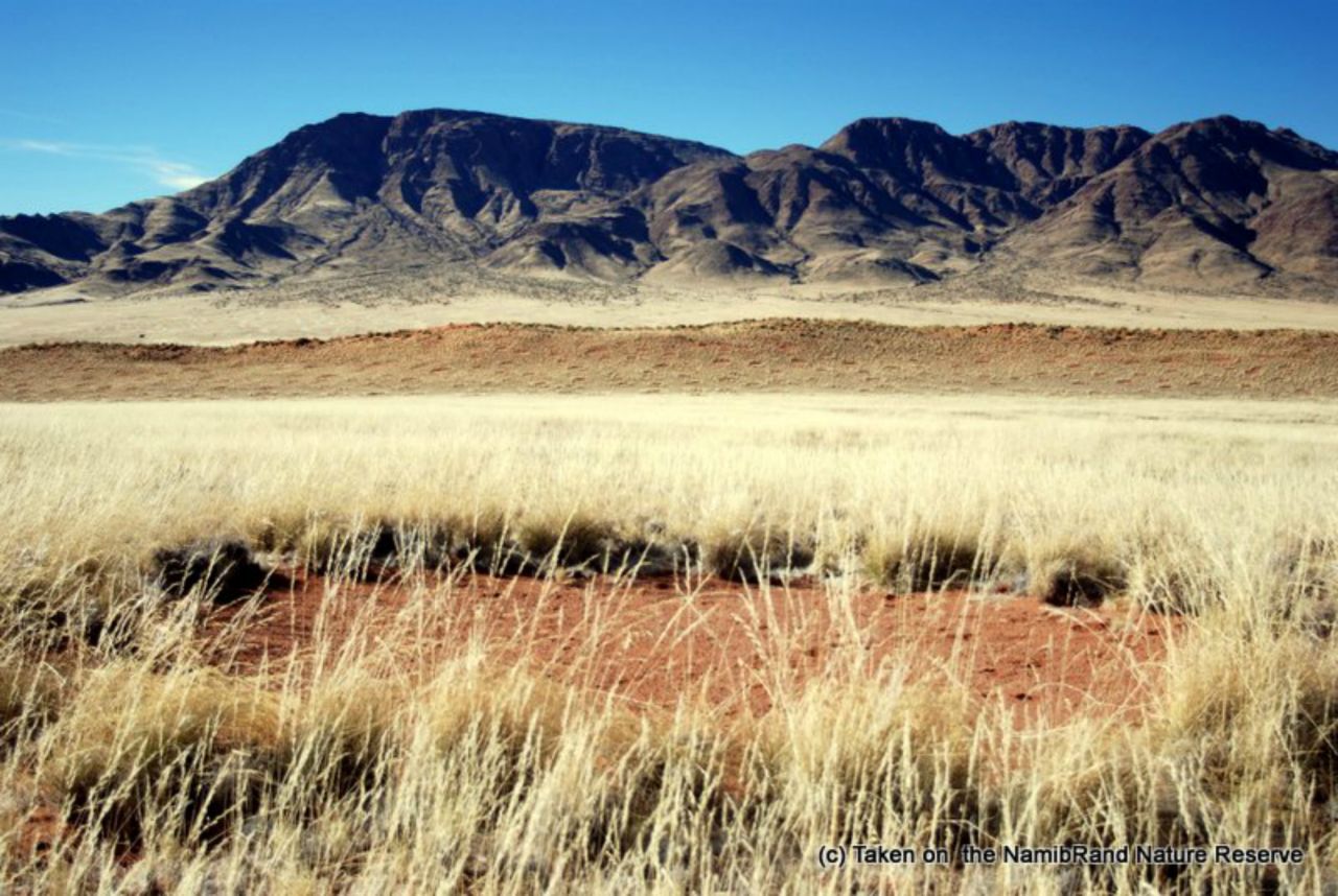 Known as fairy circles, these dots have long posed a mystery to scientists.