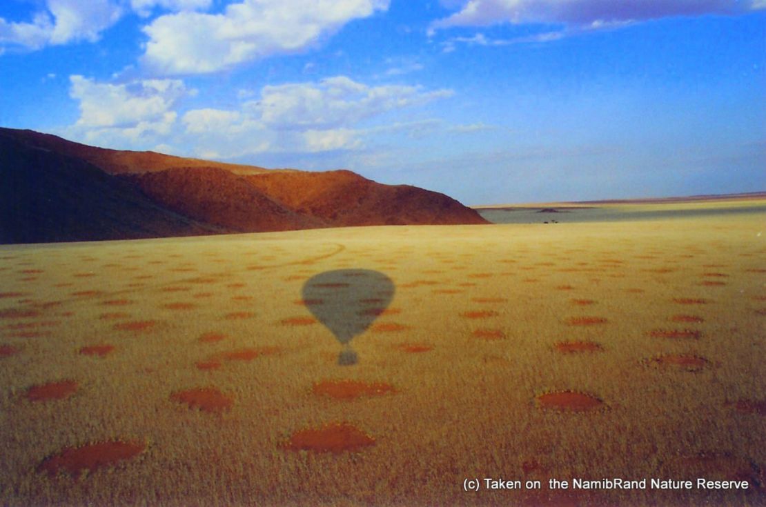 The optimal conditions for fairy circles are dry sandy desert grasslands in southwestern Africa that receive 50-100mm of rainfall in an average year.