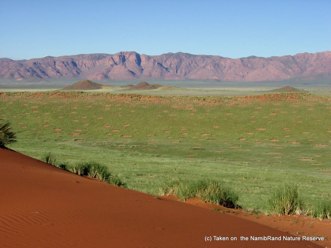 NamibRand Nature Reserve offer a peek at giraffes, baboons, zebras and over 100 bird species.