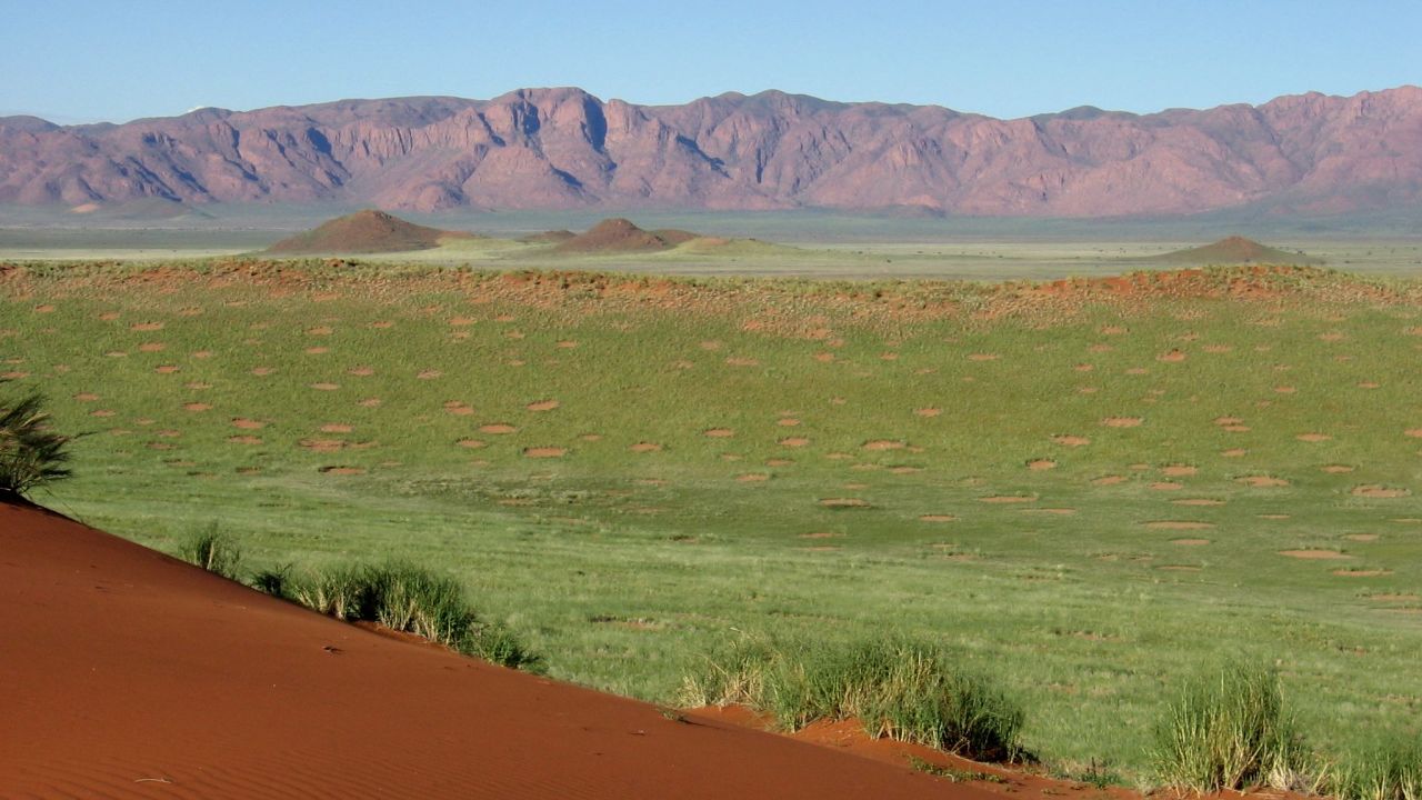 NamibRand Nature Reserve offer a peek at giraffes, baboons, zebras and over 100 bird species.