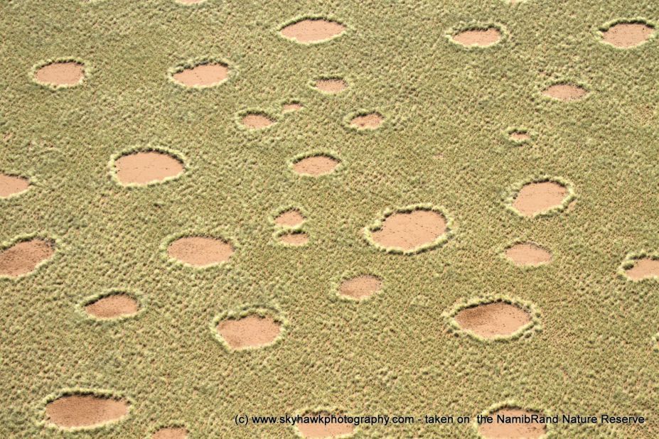 In the Namib Desert it takes approximately 20 years for a fairy circle to close up after the death of a termite colony, the study found.