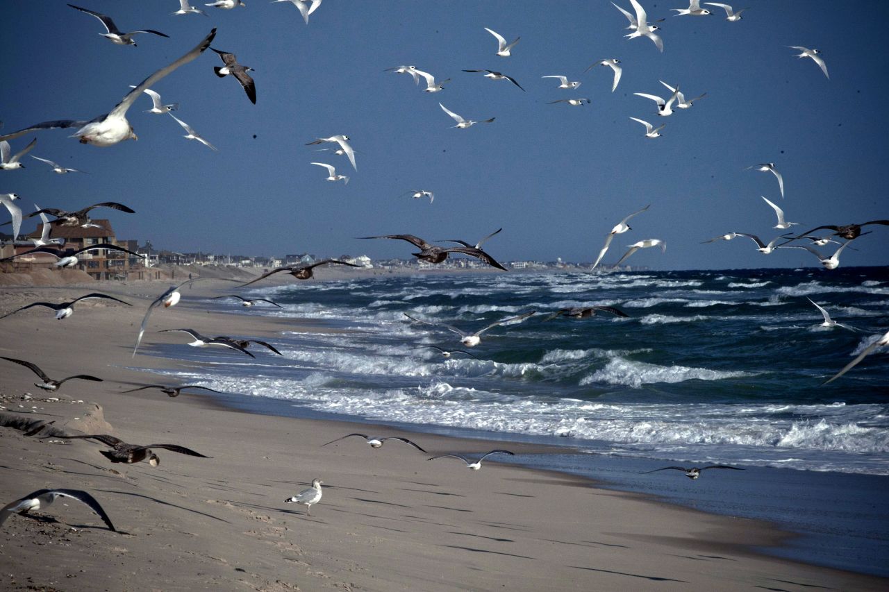 Seagulls fly along the beach in Seaside Heights, New Jersey, a year after Superstorm Sandy damaged the coastal areas in October 2012. 