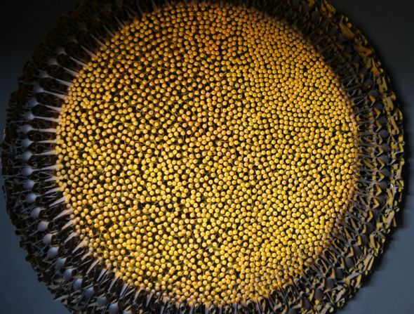 "Sunflower," 2012 -- Painted repurposed steel belt, spoons and mild steel by Olu Amoda (Nigeria), co-winner of top award "Grand prix Léopold Sédar Senghor."
