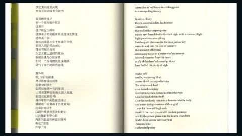 "June Fourth in My Body" (2009) by jailed Chinese dissident Liu Xiaobo, translated into English by Jeffrey Yang.