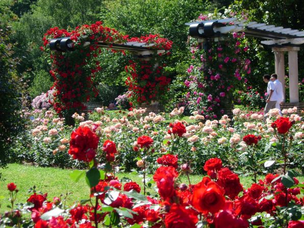 The highlight of Parc de la Tete d'Or, a vast urban park in Lyon, France, are three beautiful rose gardens. The park's name, which means "Golden Head Park," comes from a legend about a golden sculpture of Christ's head buried somewhere on the grounds by the Crusaders.  