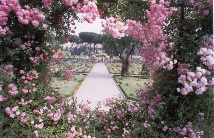Rome's dreamlike Roseto Comunale (Municipal Rose Garden) in the Via di Valle Murale hosts a rose competition each May. 