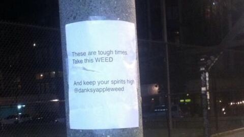 Somebody already got to this one, but here's another Weed Fairy flier posted in Seattle.