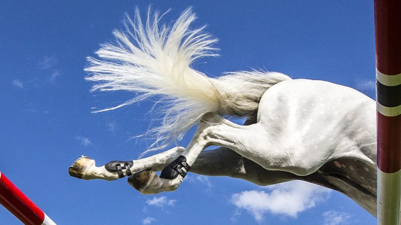 A horse named Cabrio van de Heffinck clears a hurdle Sunday, June 1, at a Nations Cup show jumping event in St. Gallen, Switzerland.