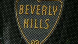 Lead Beverly Hills sign