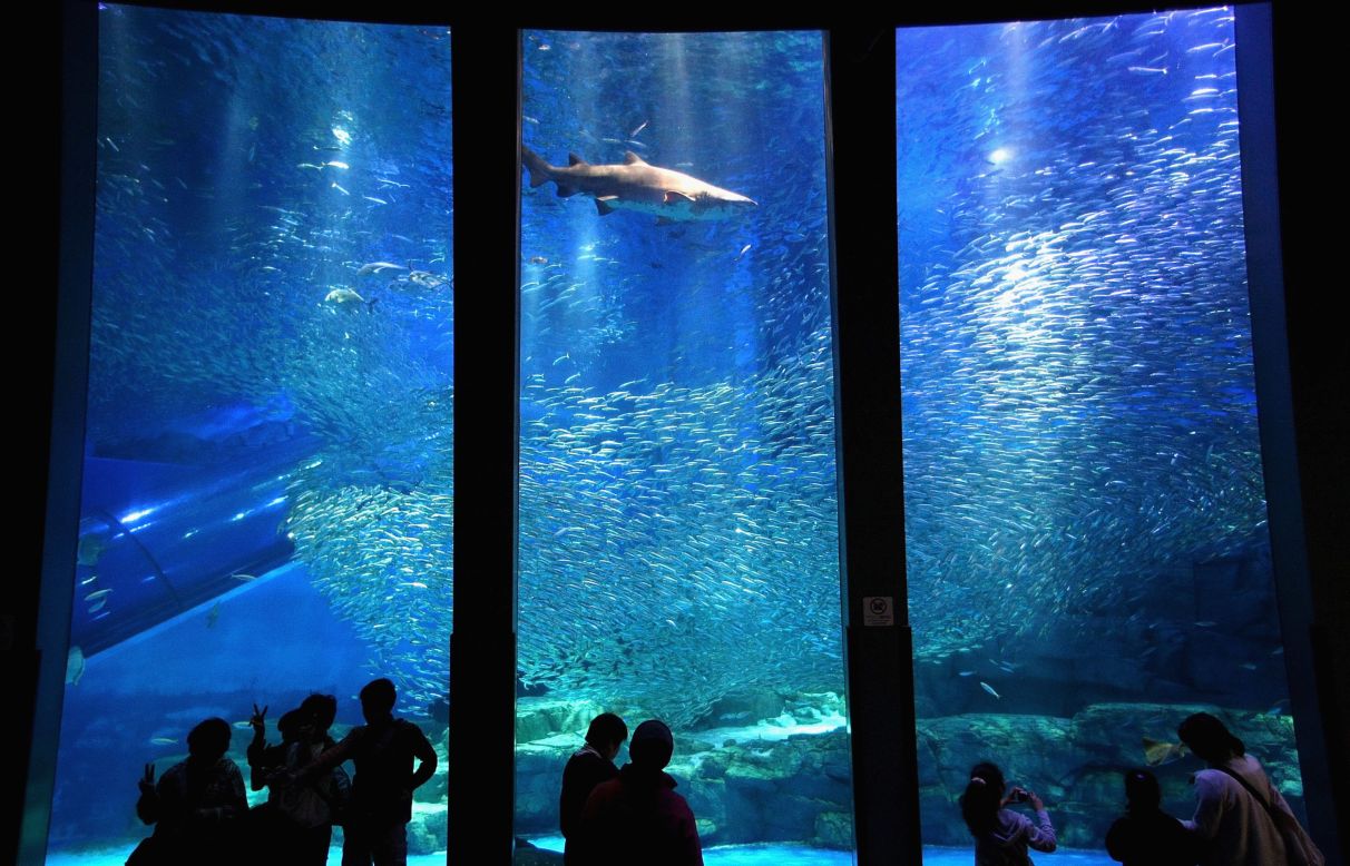 25. Yokohama Hakkeijima Sea Paradise in Japan features amusement park rides, an aquarium and over 500 varieties of fish. 